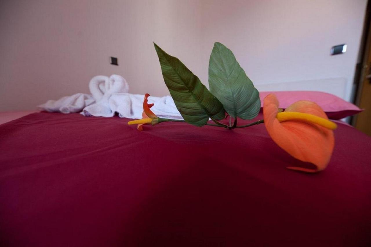 Rooms Aladino トロギール エクステリア 写真